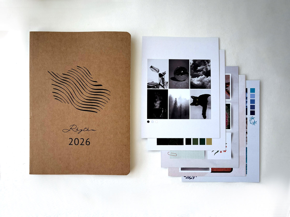 WEEKLY DUO Decluttercat 3 WEEKLY DUO - Image 3