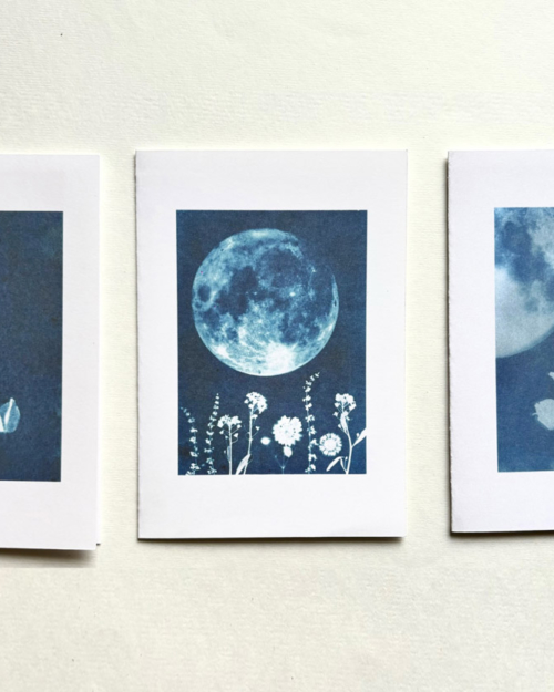 Sun and Moon Cards - Sun Printed Lunar Cards - Decluttercat - 1